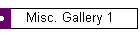 Misc. Gallery 1