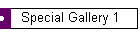 Special Gallery 1